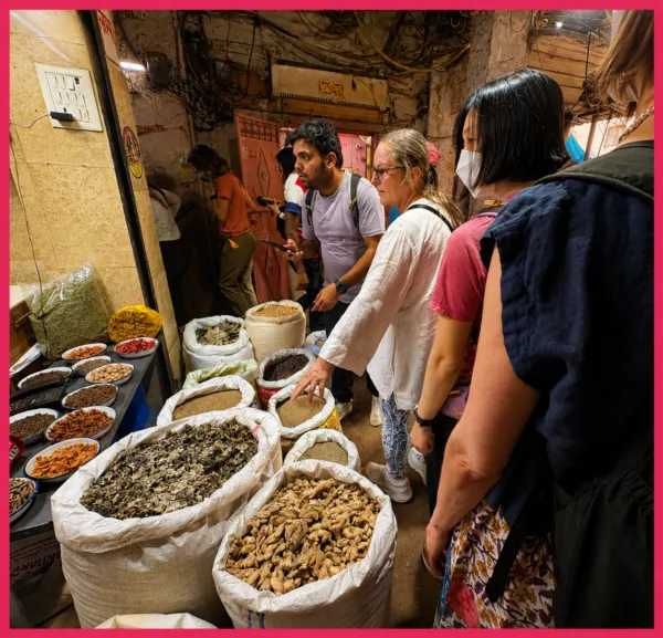 Old Delhi Gully Tour (7)